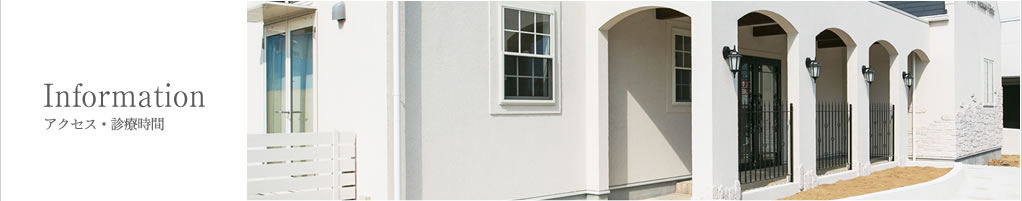 アクセス・診療時間